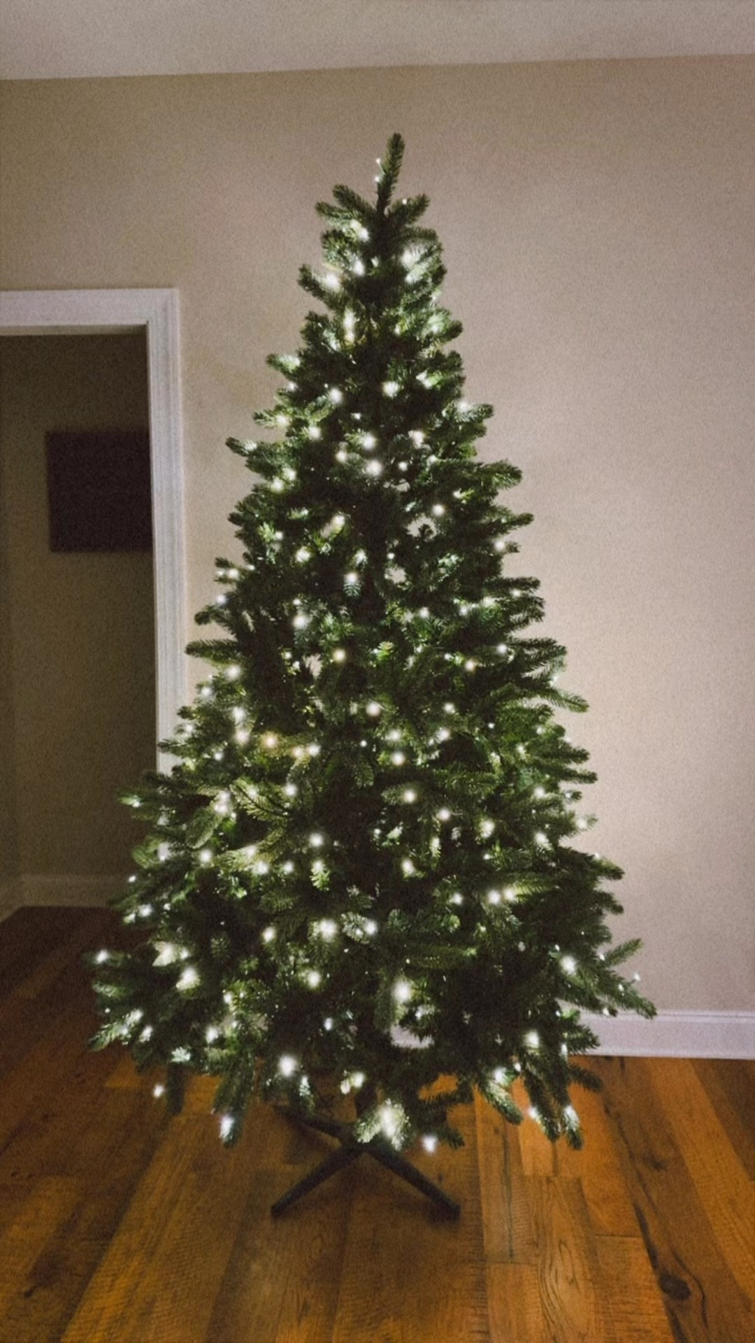 A more affordable twinkle tree option for this Christmas! 

#LTKHoliday #LTKSeasonal #LTKHome