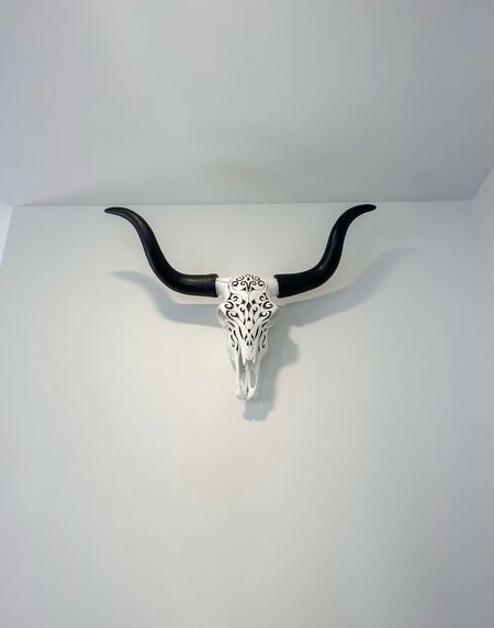 Entryway Decor 🖤

longhorn skull | modern farmhouse decor 



#LTKhome