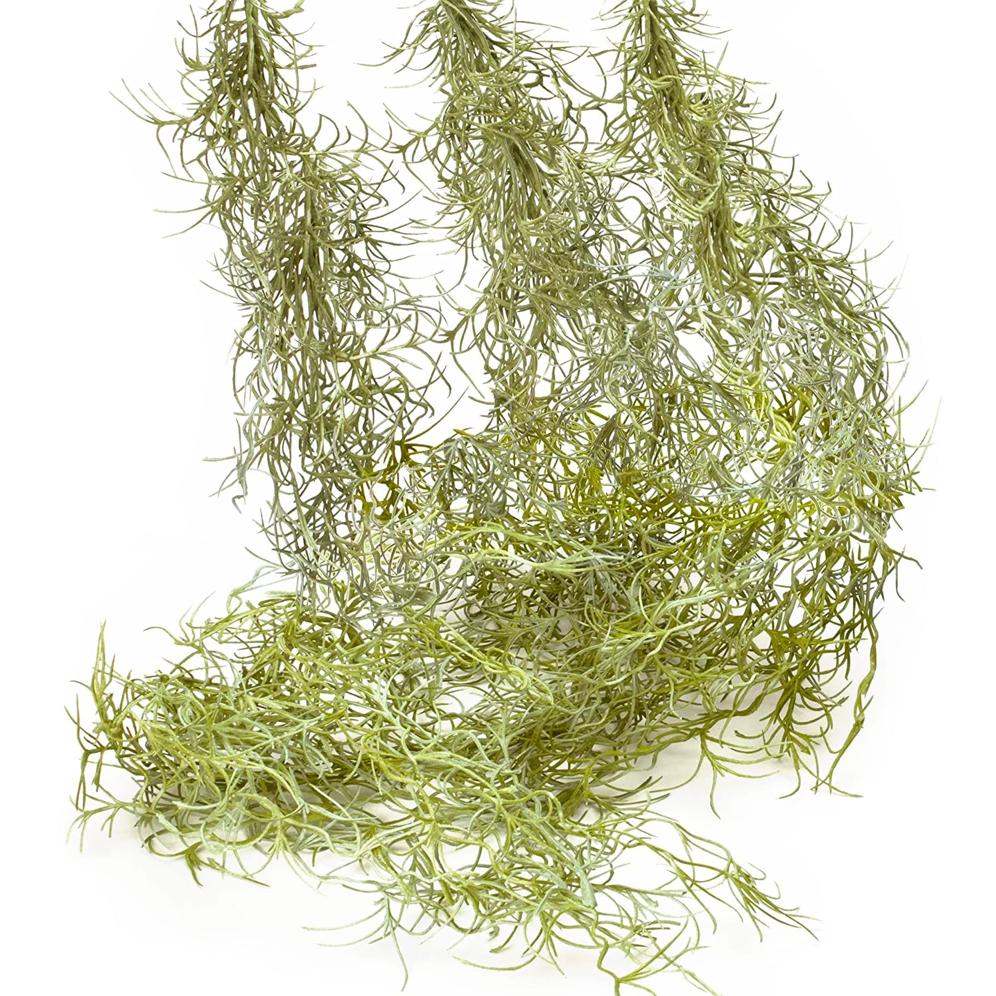 Amazon.com - SEEKO Faux Greenery Moss for Potted Plants - Realistic Spanish Moss - Hanging Plants Ar | Amazon (US)