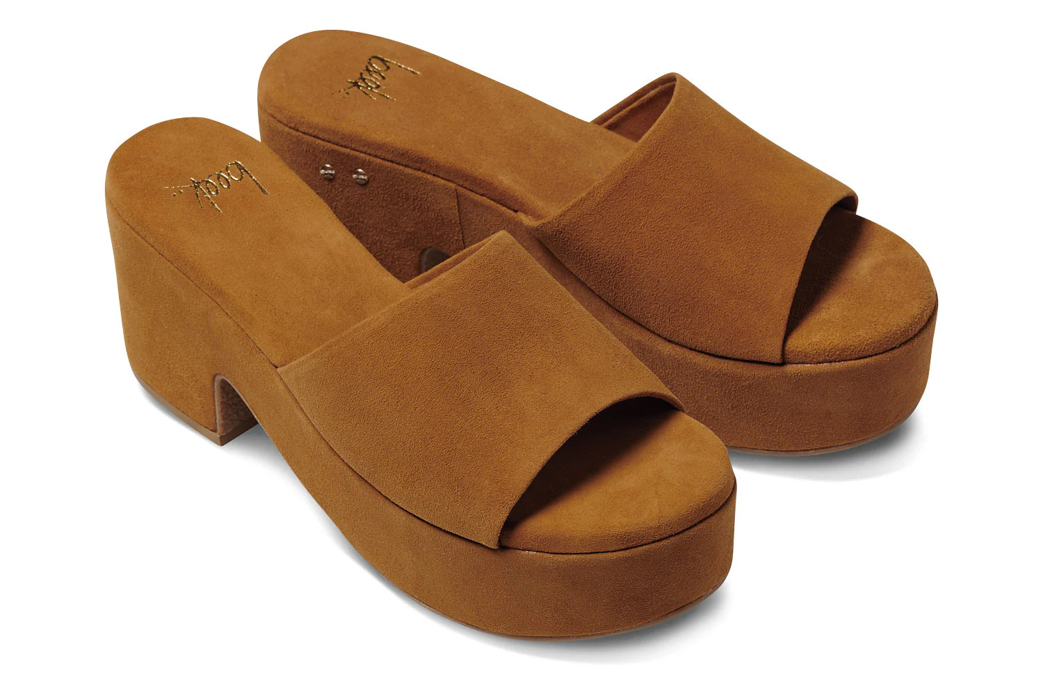 PRINIA - Caramel | beek