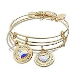 Alex and Ani A21MDAYSETSG,Friend and Mentor Set of 2,Shiny Gold,Clear, Bracelets | Amazon (US)