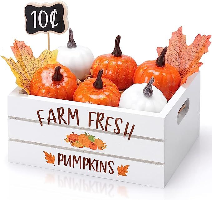 Pumpkin Centerpiece Fall Tiered Tray Decor Mini Decorations Farm Fresh Pumpkins Sign Autumn Mini ... | Amazon (US)
