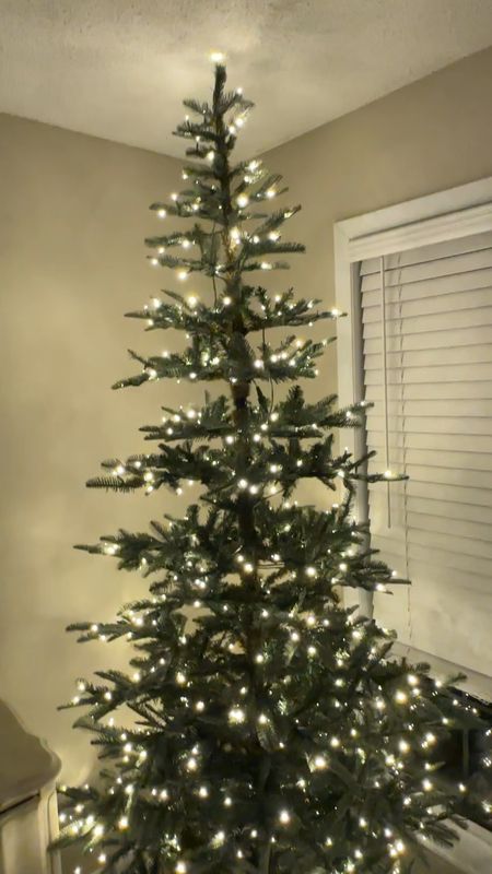 my new Christmas tree from king of Christmas! 8 foot noble fir lighted 