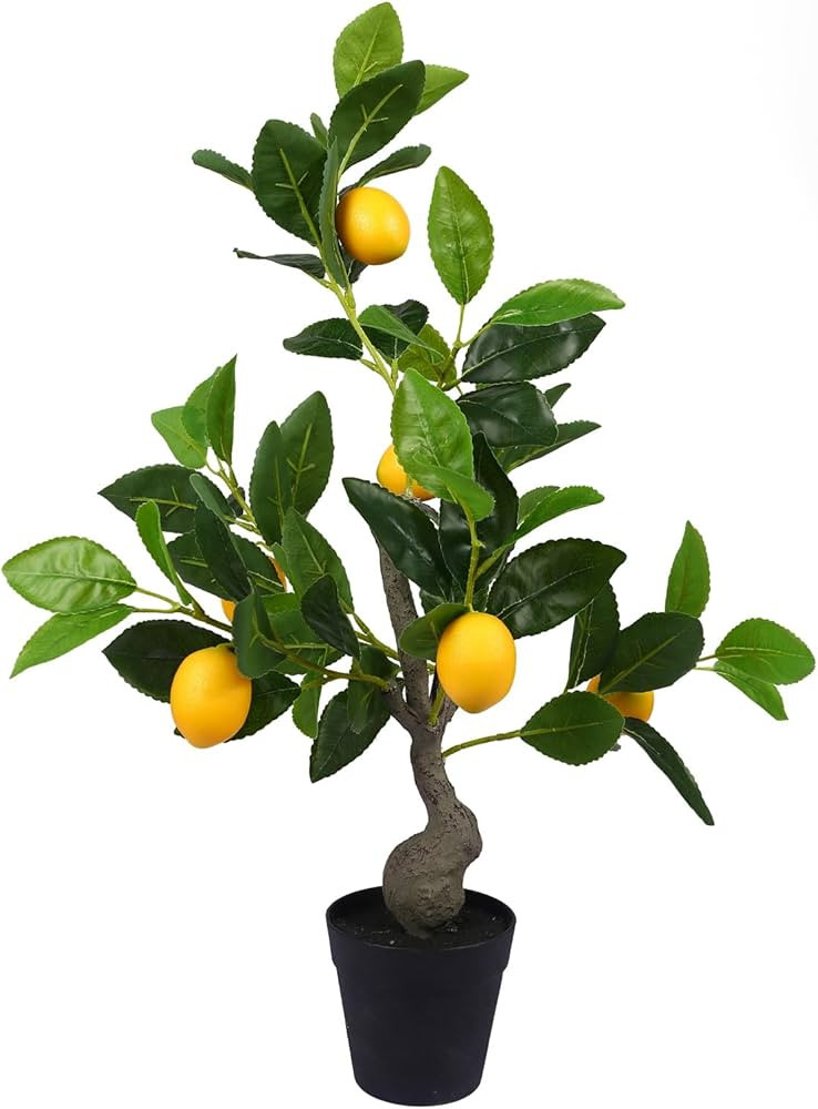 Artificial Lemon Tree Fake Lemon Plant Tabletop Fruit Tree Ornament Home Office Decor (1) | Amazon (US)