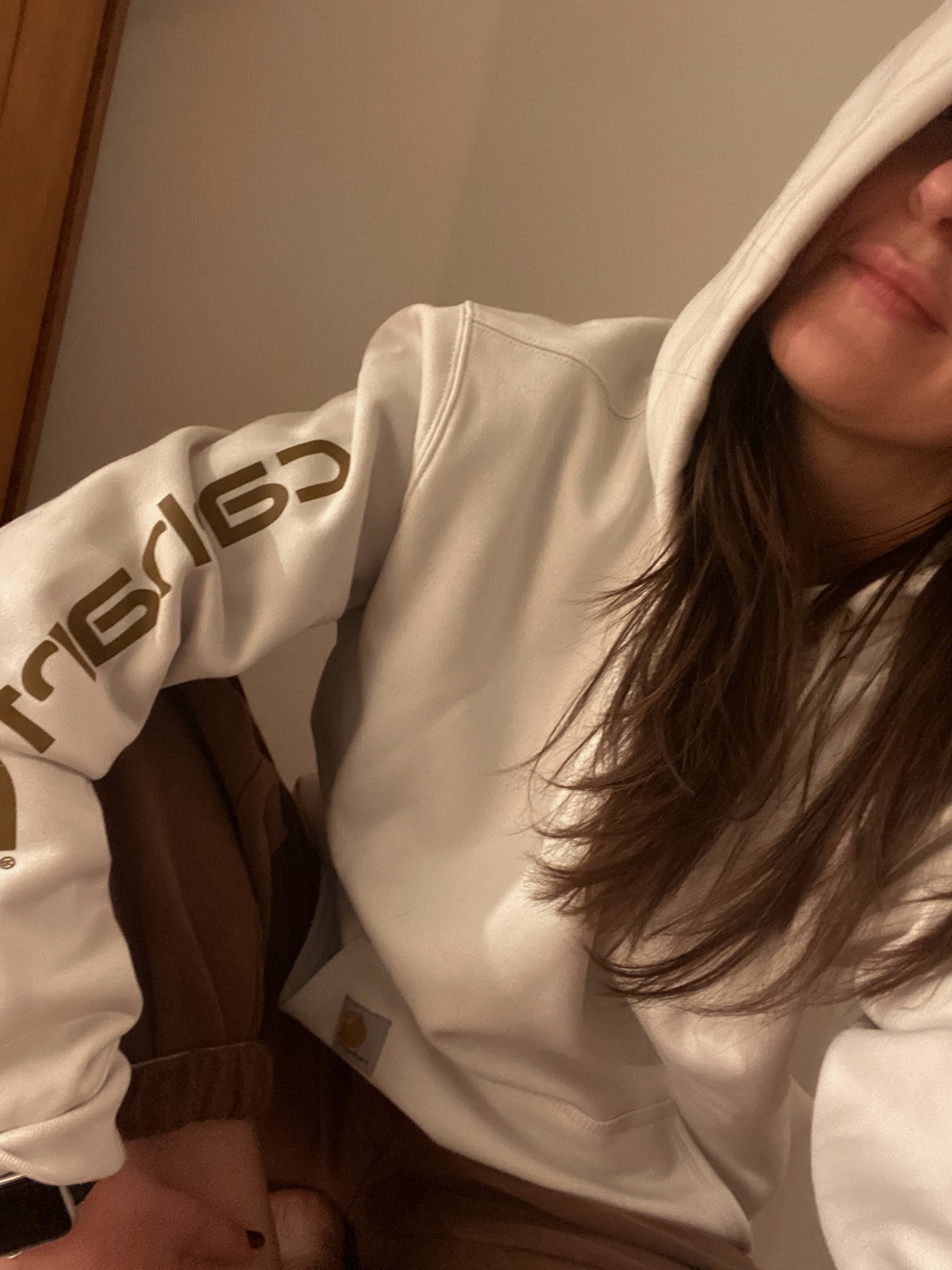 Carhart hoodie wearing size medium
Black Friday sale! 


#LTKCyberWeek #LTKfindsunder50 #LTKGiftGuide