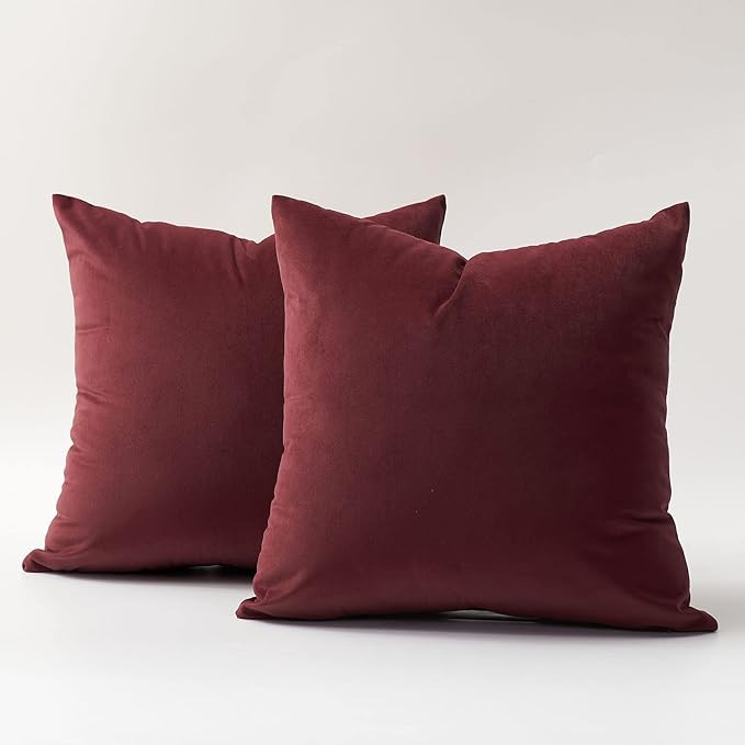 Amazon.com: DOMVITUS 20x20 Pillow Covers Set of 2 Velvet Throw Pillow Covers Decorative Pillows f... | Amazon (US)