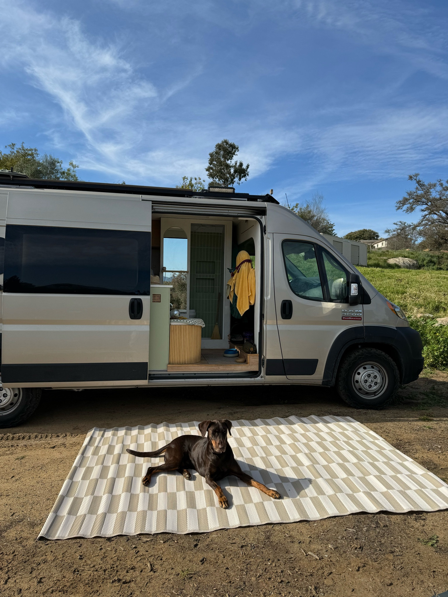 The best outdoor rug✨