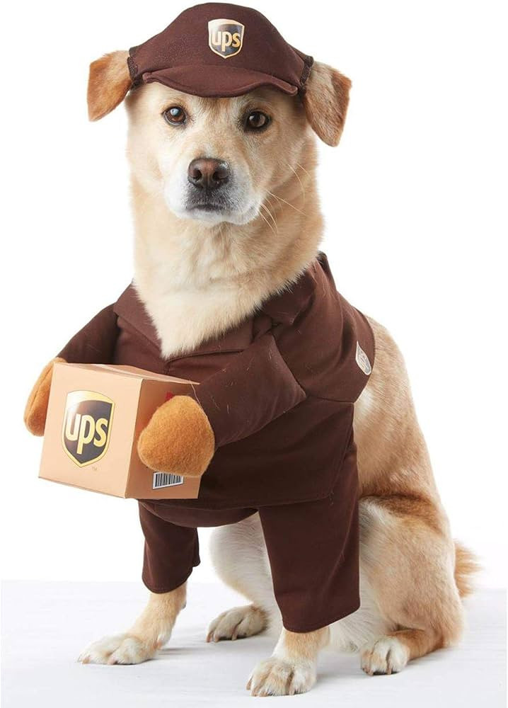 UPS Dog Costume Large | Amazon (US)