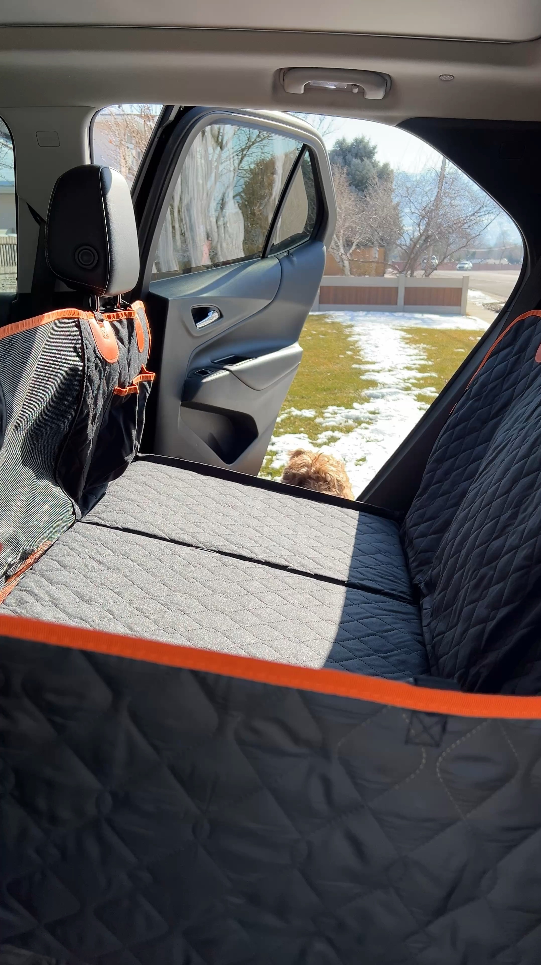 Must have dog items: a car hammock! 

#LTKActive #LTKGiftGuide #LTKHome
