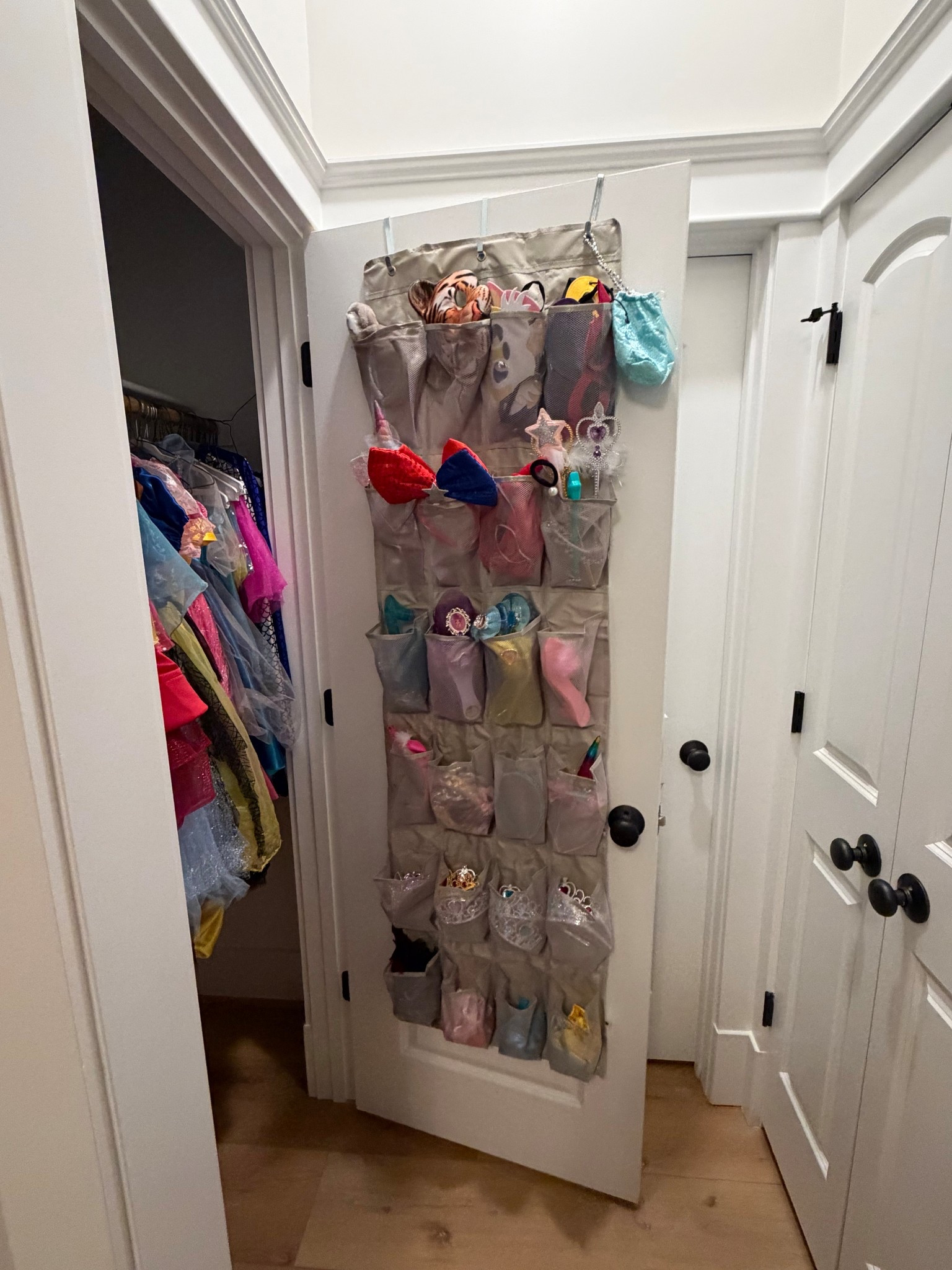 Linking my favorite dress-up closet organizer on LTK because this system is a game-changer 👗✨