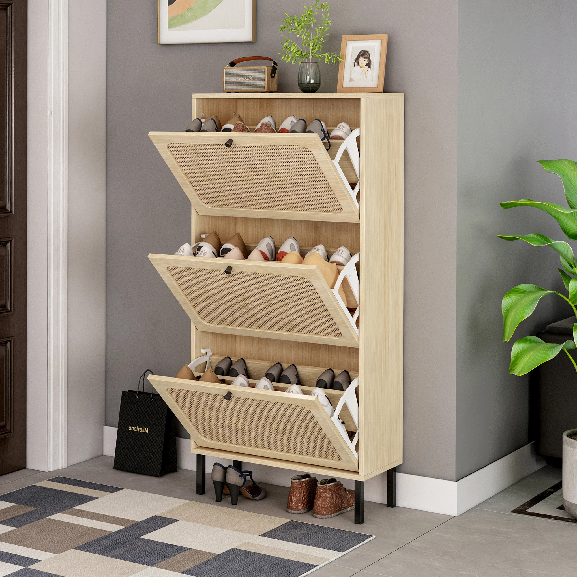 Bay Isle Home™ Rattan 18 Pair Shoe Storage Cabinet & Reviews | Wayfair | Wayfair North America