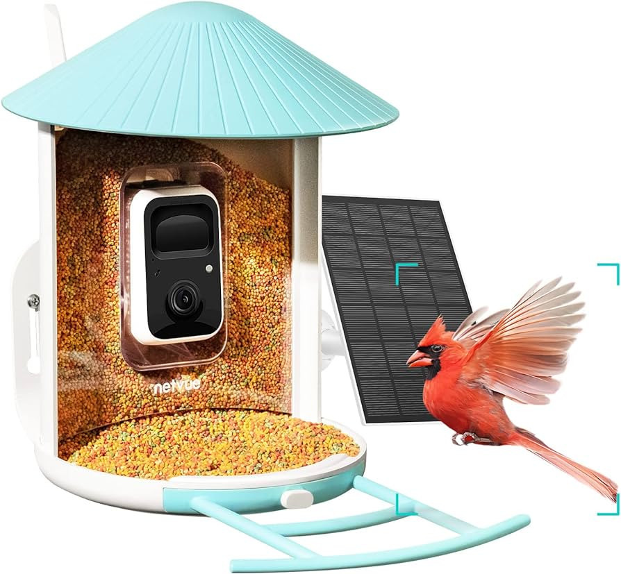 NETVUE Birdfy Lite - Smart Bird Feeder with Camera Solar Powered, Bird Watching Camera Wireless, ... | Amazon (US)