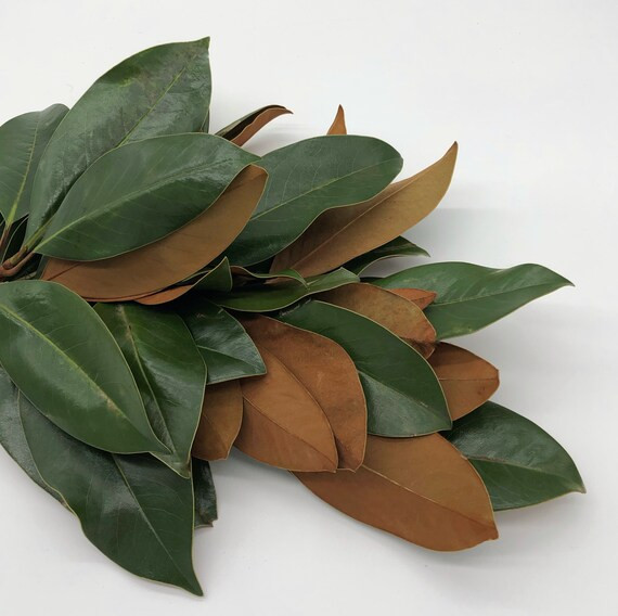 Fresh Handmade Magnolia Garland / Home Decor / Holiday Decor / Holiday Party / Christmas Party | Etsy (US)