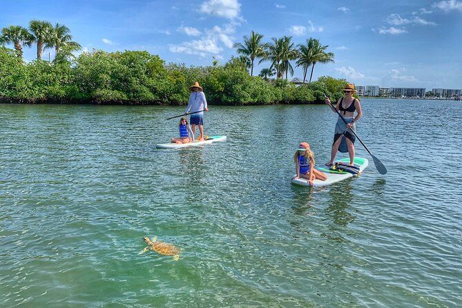 Paddle Boarding Eco Adventure Tour Jupiter Florida - Singer Island | Viator