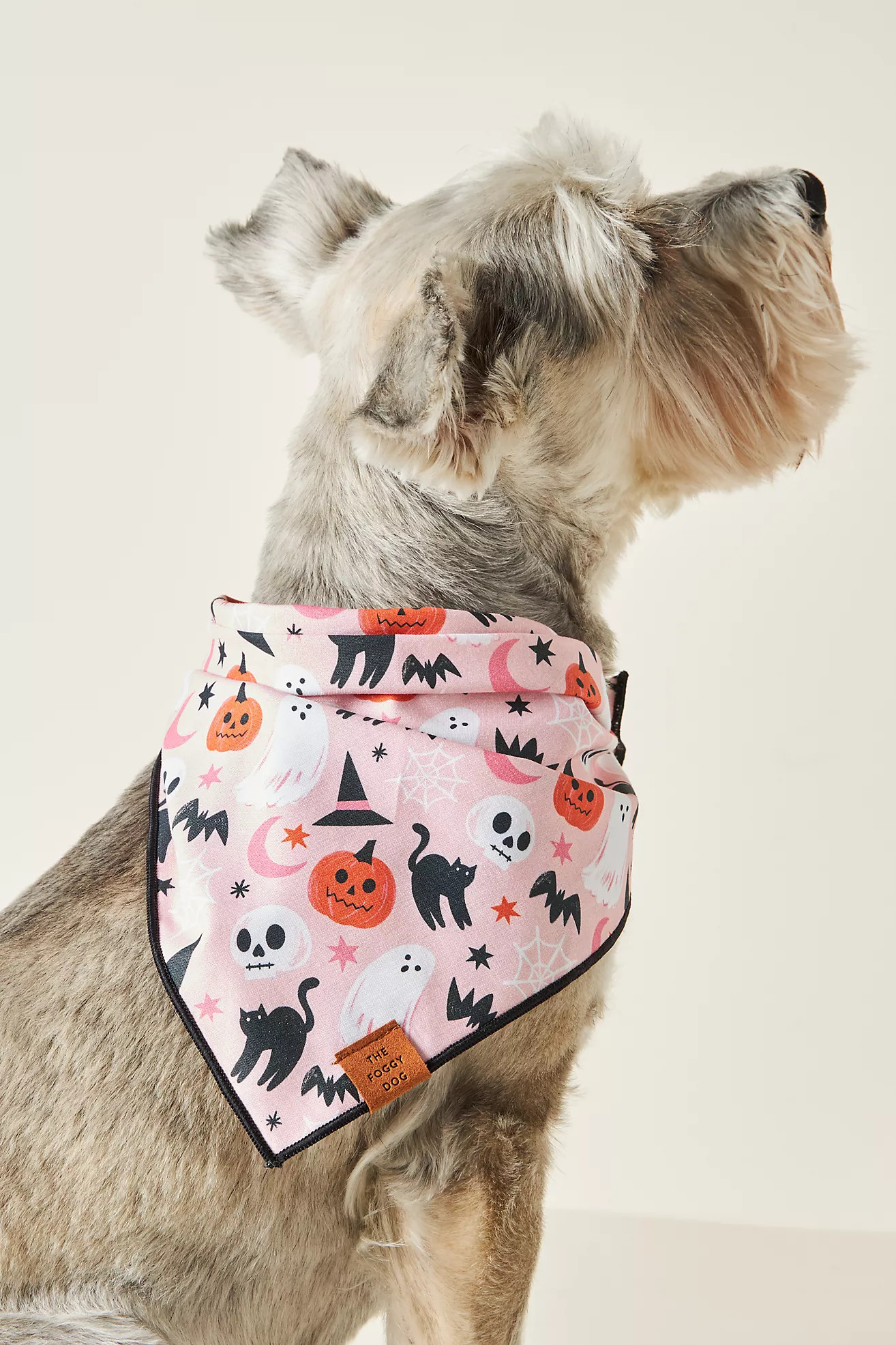 Bewitched Dog Bandana | Anthropologie (US)
