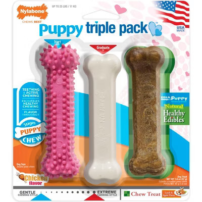 Nylabone Puppy Chew Variety Pack | Target
