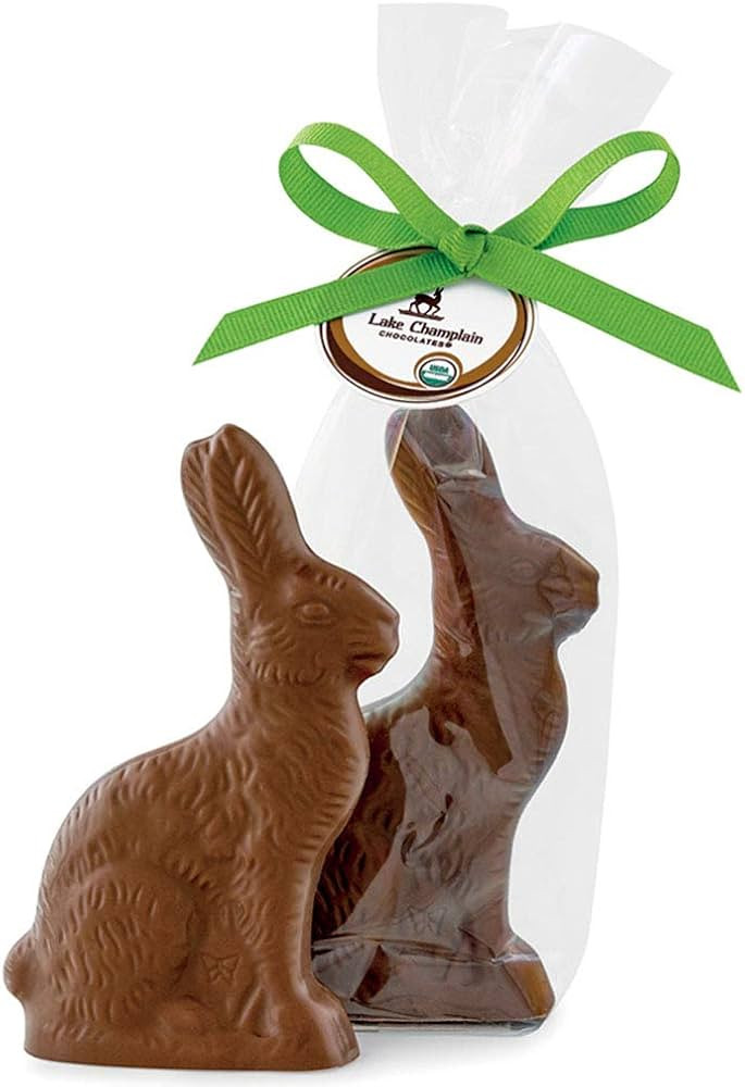 LAKE CHAMPLAIN CHOCOLATES Organic Classic 5in Milk Chocolate Bunny, 3.7 OZ | Amazon (US)