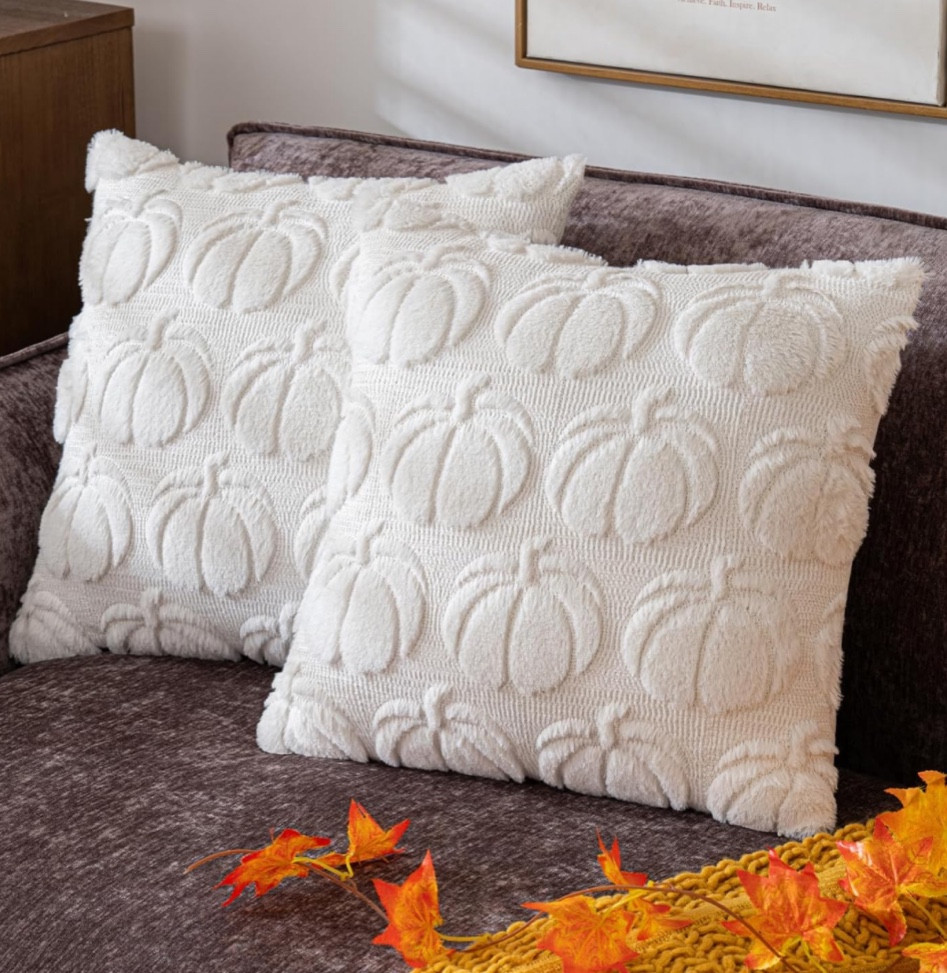White pumpkin fall pillow colors

#LTKFindsUnder50 #LTKSeasonal #LTKHome