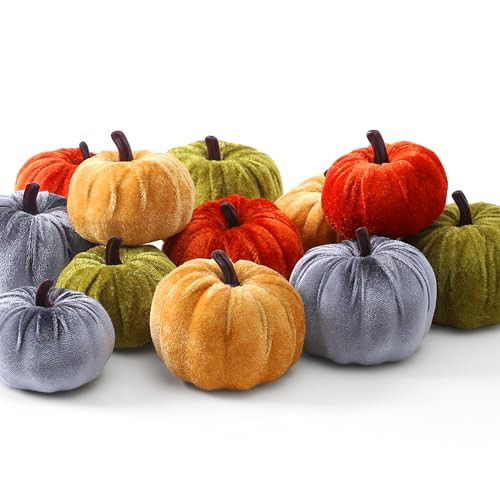 SITUMEIZI Assorted Small Velvet Pumpkins Thanksgiving Table Centerpiece Decor Mini Pumpkin Faux Harvest Fabric Foam Pumpkin Halloween Decor for Fall Decor Wedding Farmhouse Decoration(12 Pcs) | Amazon (US)
