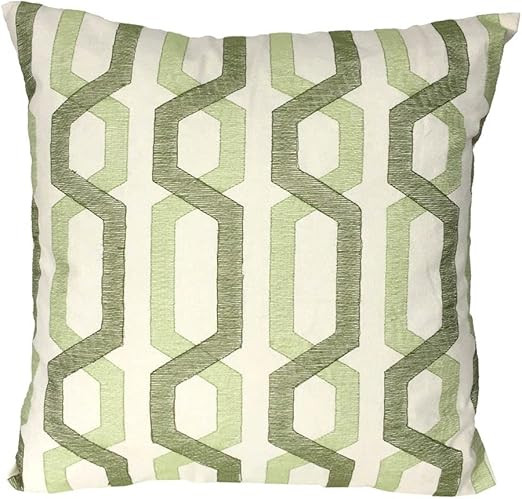 A&B Home T38702-GREE, Green, 18-Inch 100-percent Cotton Throw Pillow, Multicolor | Amazon (US)