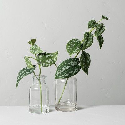 Set of 2 Small & Large Faux Silver Philodendron Arrangements - Hearth & Hand™ with Magnolia | Target