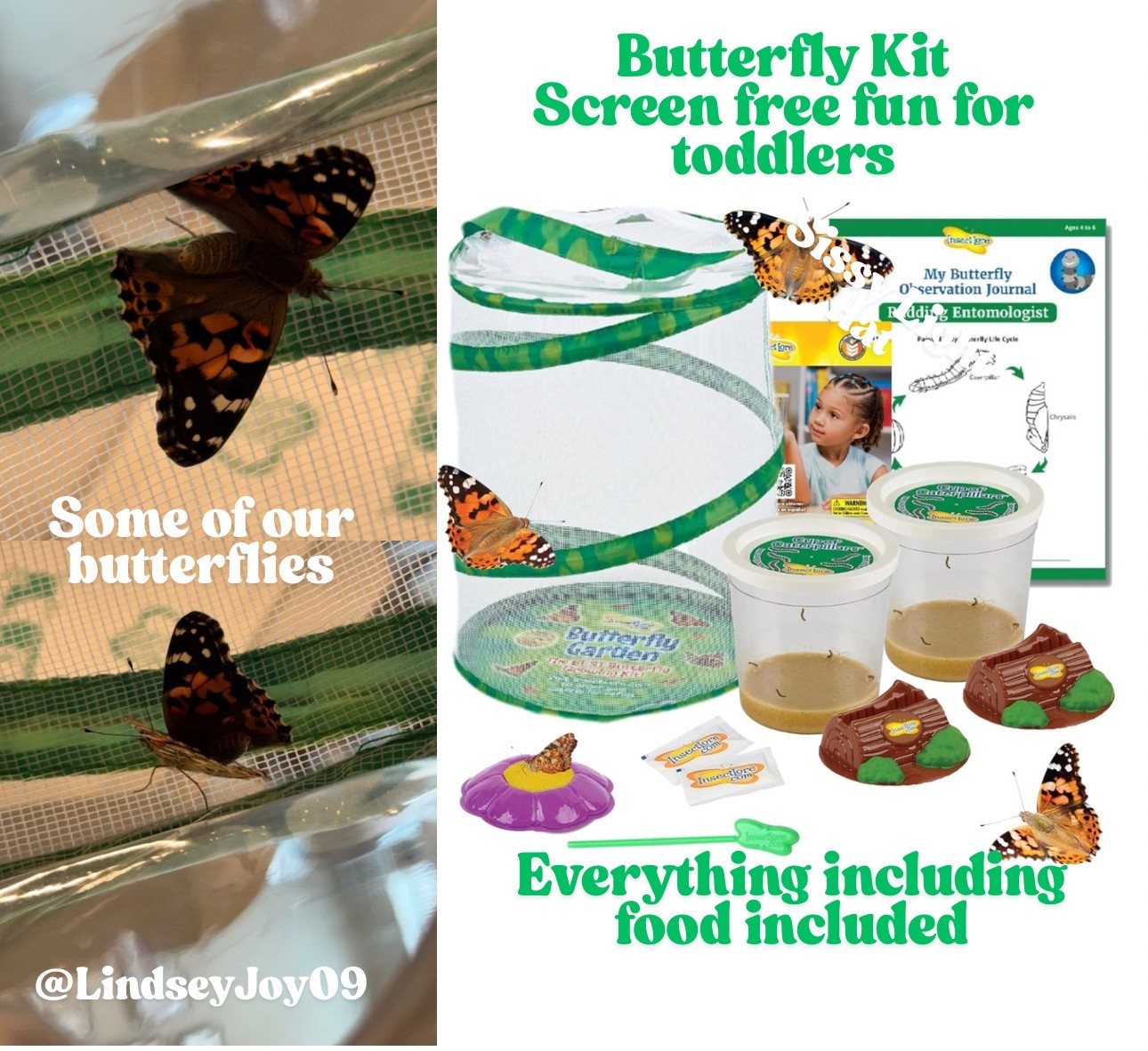 Butterfly kit! Screen free toddler fun 

#LTKSummerEdit #LTKFamily #LTKKids