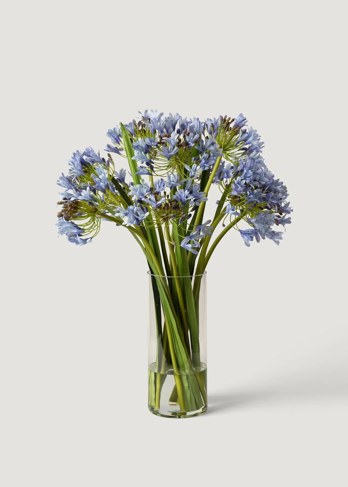 Blue Agapanthus in Vase | Artificial Flower Arrangements | Afloral | Afloral