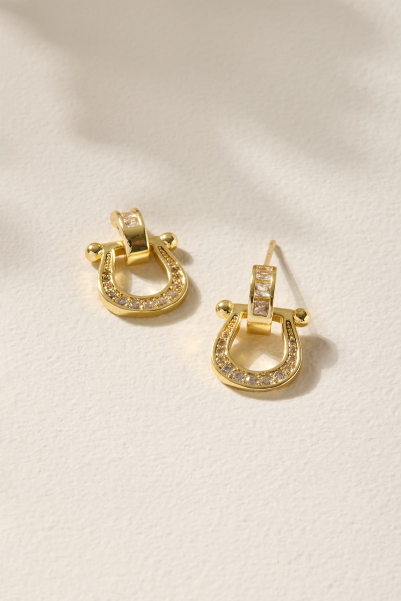 Tamara Pave Horseshoe Drop Earrings | Francesca's