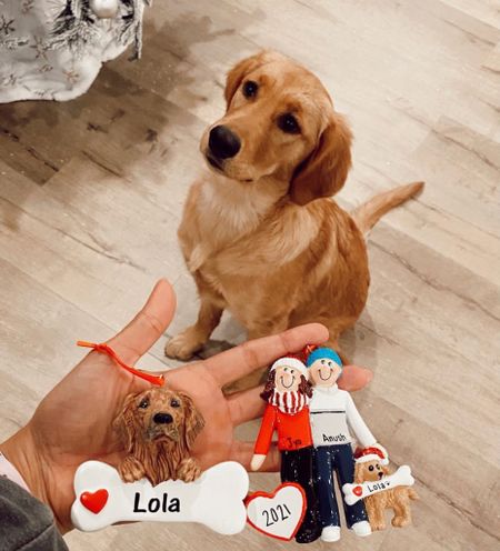 Random holiday items I’m loving for Lola 🎄🐶

#LTKHoliday #LTKSeasonal