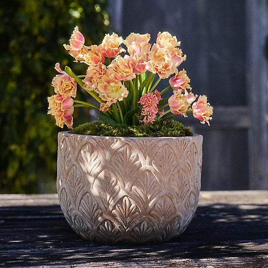 Textured Botanicals Ceramic Planter, 18" | Terrain