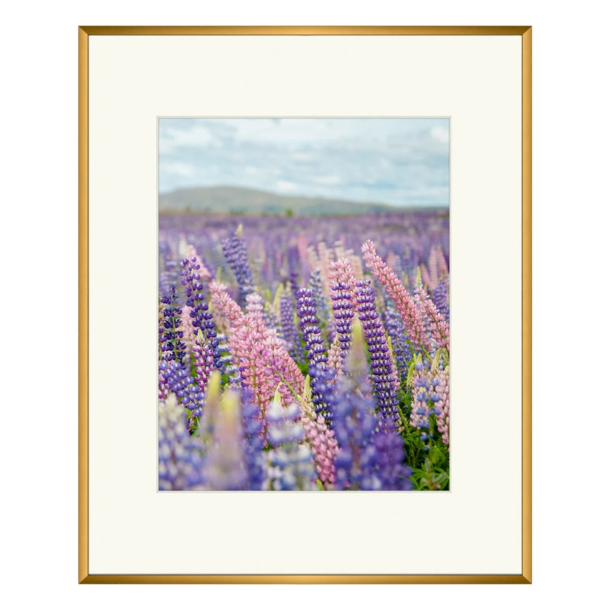 Wayfair Basics® Drennon Picture Frame Classic Metal Frames & Reviews | Wayfair | Wayfair North America