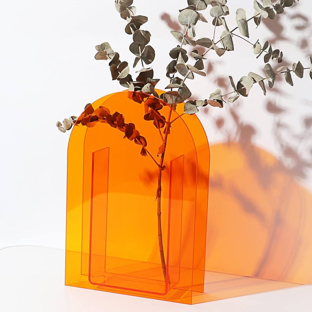 DaizySight Acrylic Vase Arched for Modern Aesthetic Room Decor, Plastic Decorative Vase for Bedro... | Amazon (US)
