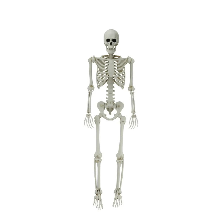 5ft White Poseable Skeleton Decoration, Halloween Outdoor Decor, by Way To Celebrate | Walmart (US)