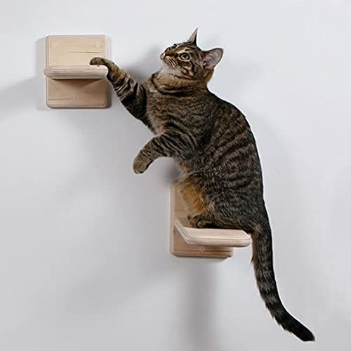 Cat Wall Shelves,Wood Cat Wall Steps Cat Climber - Cat Wall Climbing Ladder, Wall Mount Cat Climbing | Amazon (US)