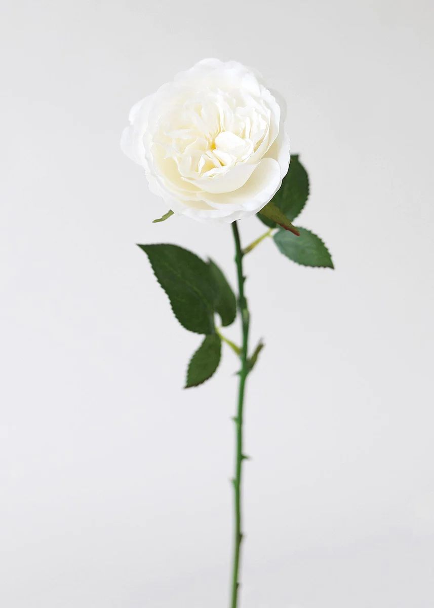White English Cabbage Artificial Rose - 20.5 | Afloral (US)