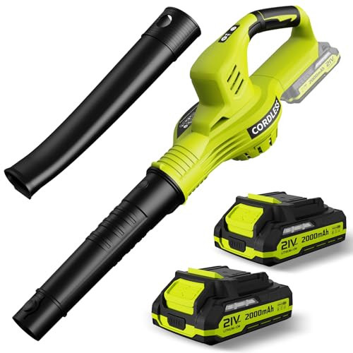 Leaf Blower Cordless - 21V Powerful Electric Leaf Blower with 2 Batteries and Charger, 2 Speed Modes, 2.0Ah Lightweight Battery Powered Leaf Blowers for Lawn Care, Patio, Dust, Blowing Leaves | Amazon (US)