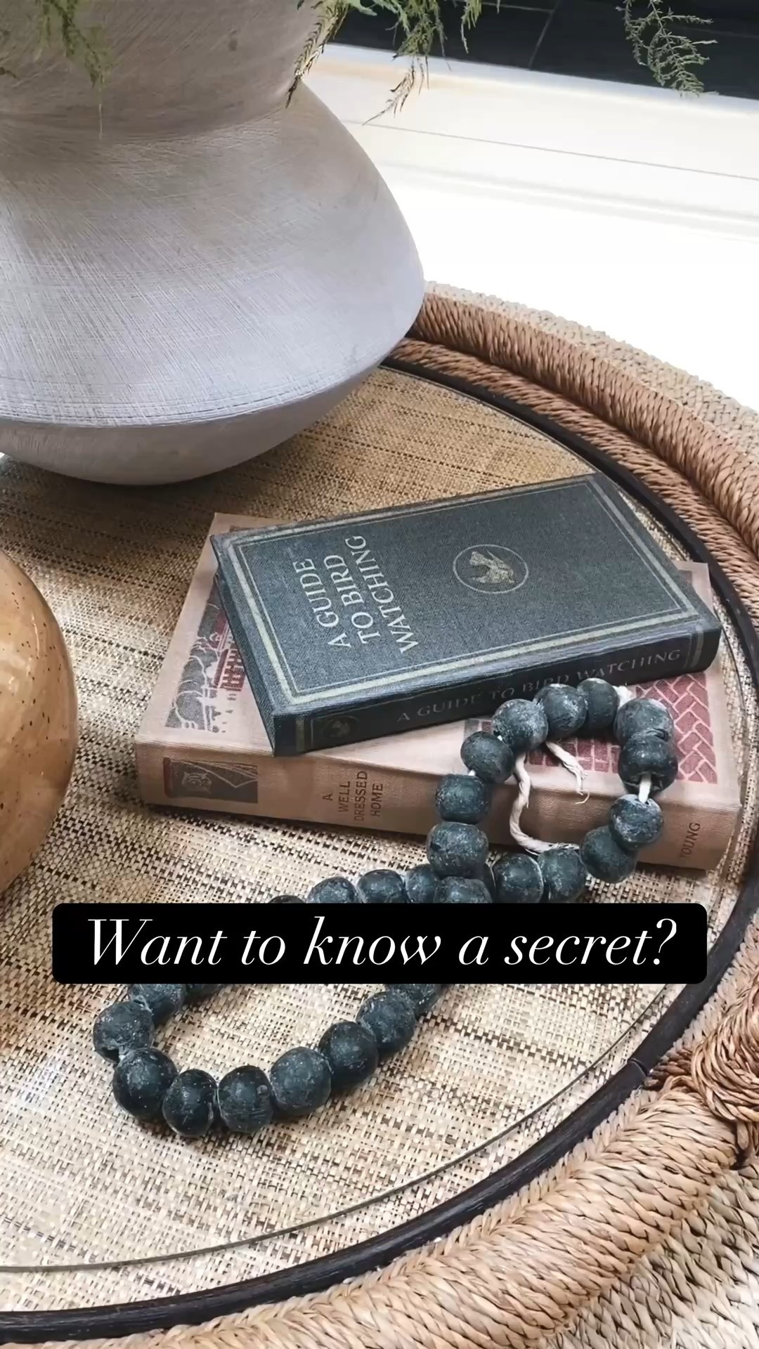 Storage books, secret storage, vintage books, book decor
#porcheandco

#LTKHome #LTKStyleTip