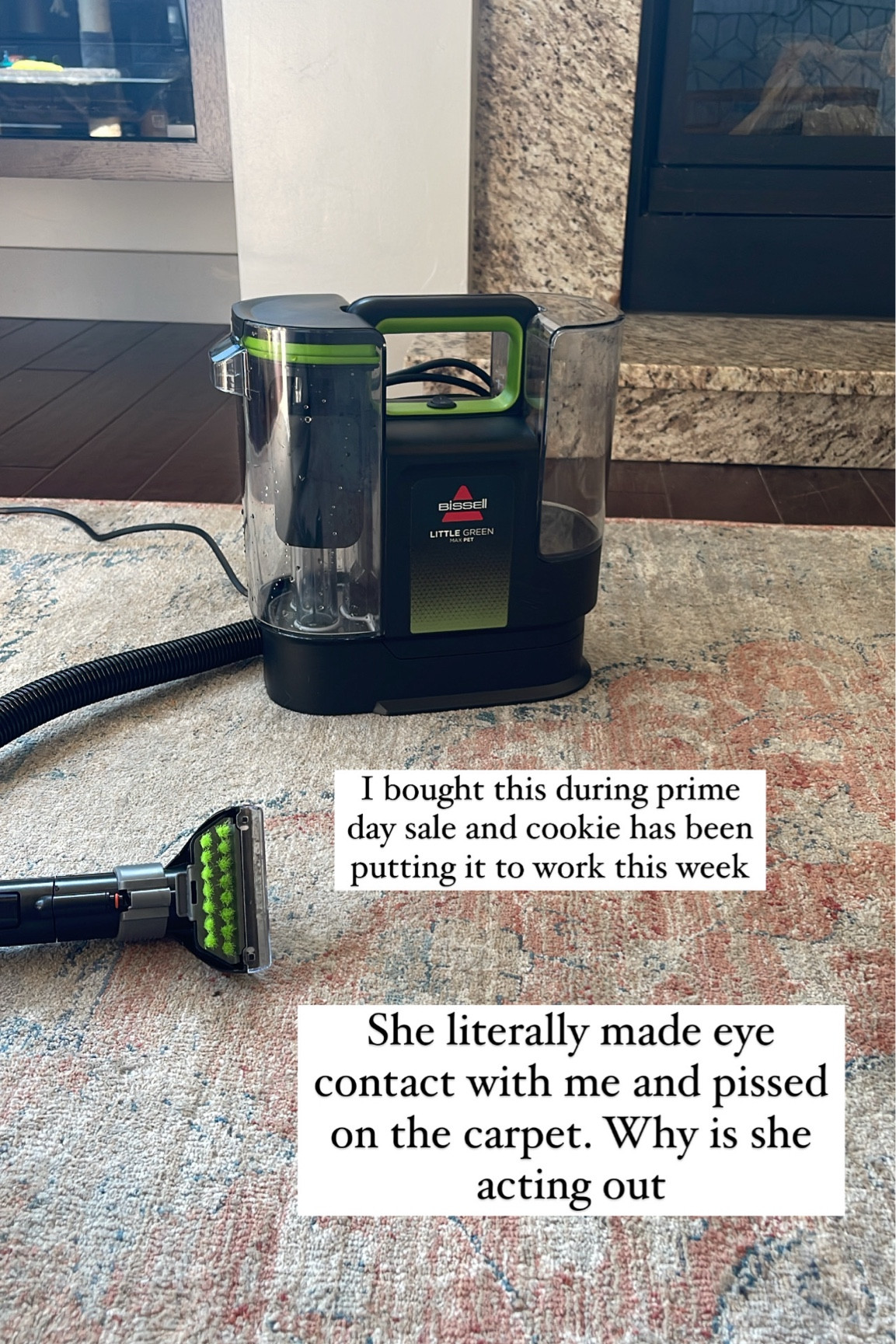 If you have a pet, you need this. I would never tell someone they NEED something but you NEED this. 