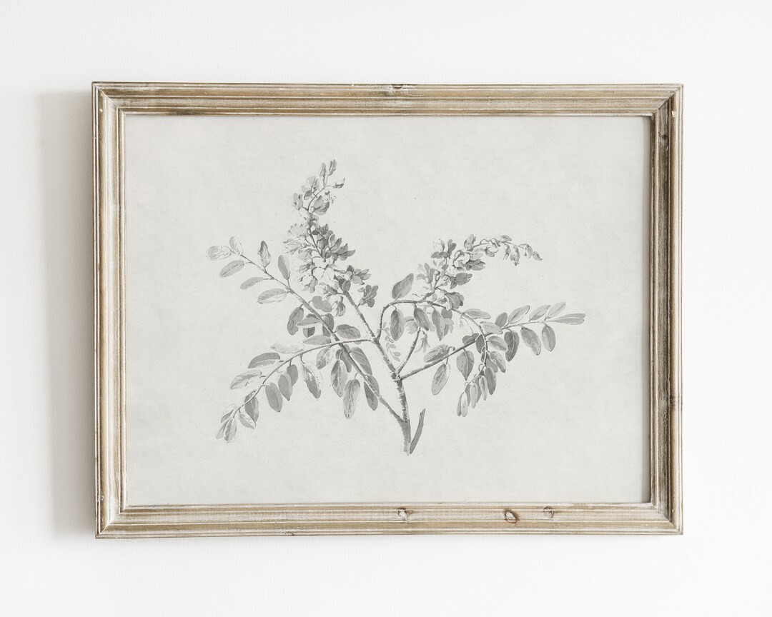 Minimalist sketch print, Vintage botanical wall art, antique botanical drawing, vintage nature pr... | Etsy (US)
