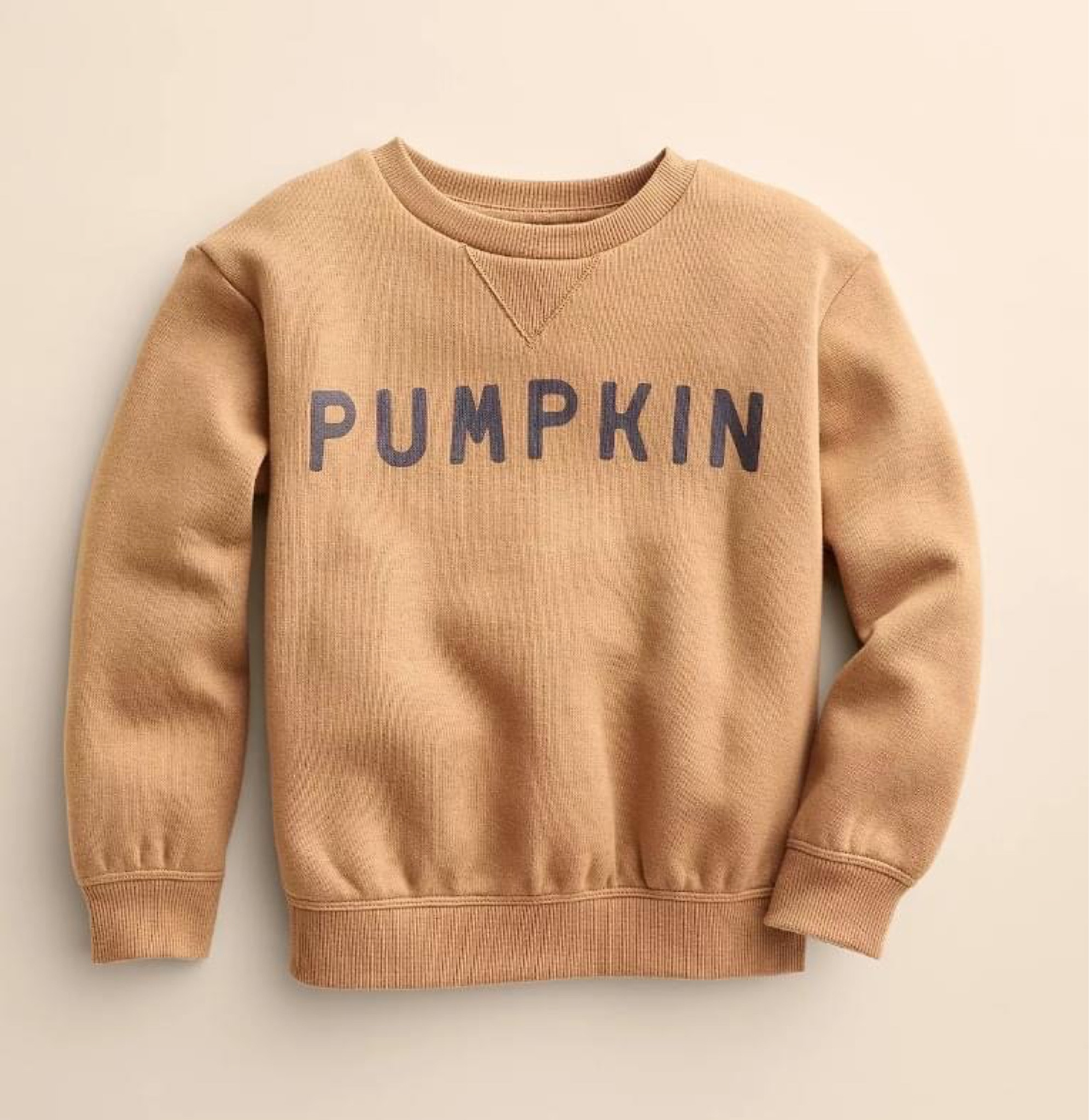 The pumpkin sweatshirt is baaaack!! Ollie has this and it's just darling. So many compliements, too! Fall is around the corner, friends. Don't sleep on this one- it'll definitely sell out! 🍂 On sale for just $15! 🎉

#LTKSeasonal #LTKkids #LTKSale