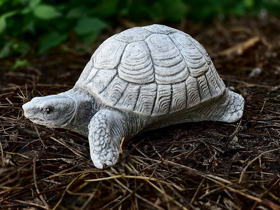 Concrete baby sea turtle Cement sea turtle sculpture Stone turtle figurine Animal garden statue W... | Amazon (US)