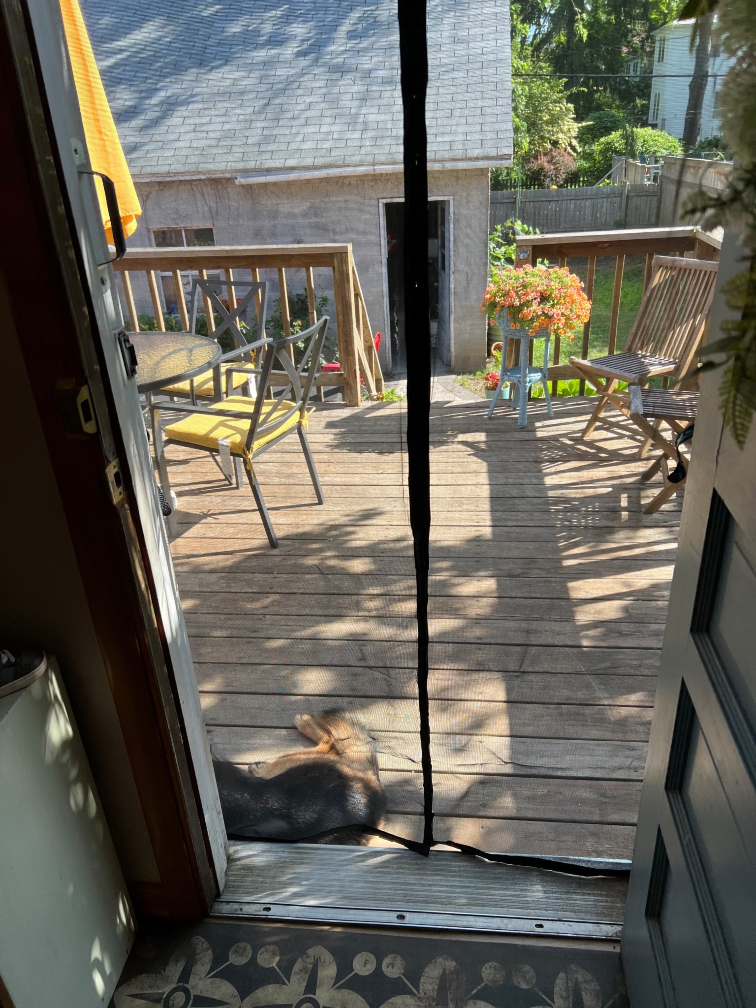 The screen door my dig wont destroy and bugs wont come inside 

#LTKSeasonal #LTKHome