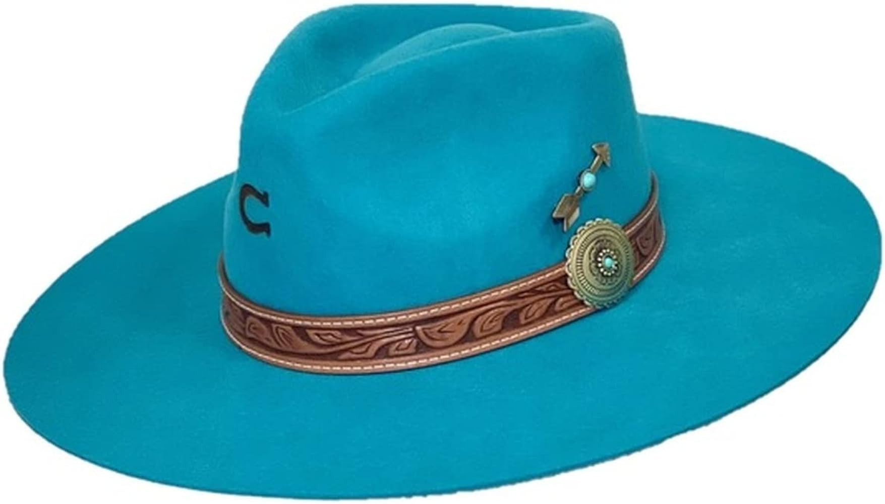 Charlie 1 Horse Turquoise Sands | Amazon (US)