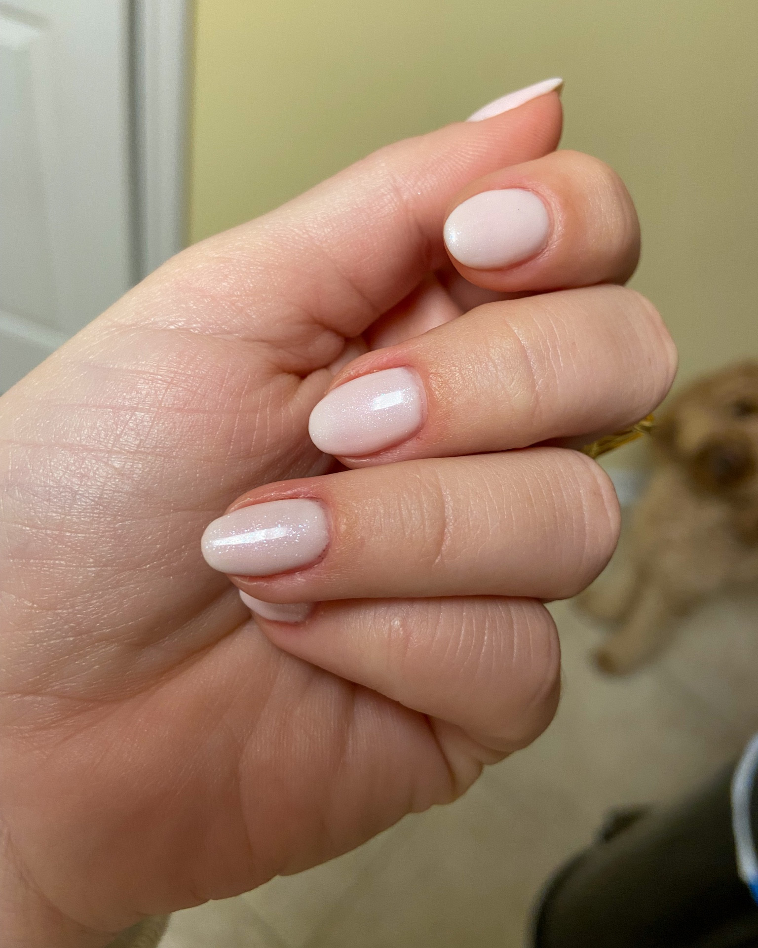The perfect neutral nail combo - with a little shimmer

1 coat funny bunny
1 coat bubble bath
1 coat chiffon my mind (shimmer coat)

OPI nail color 


#LTKunder50 #LTKstyletip #LTKGiftGuide
