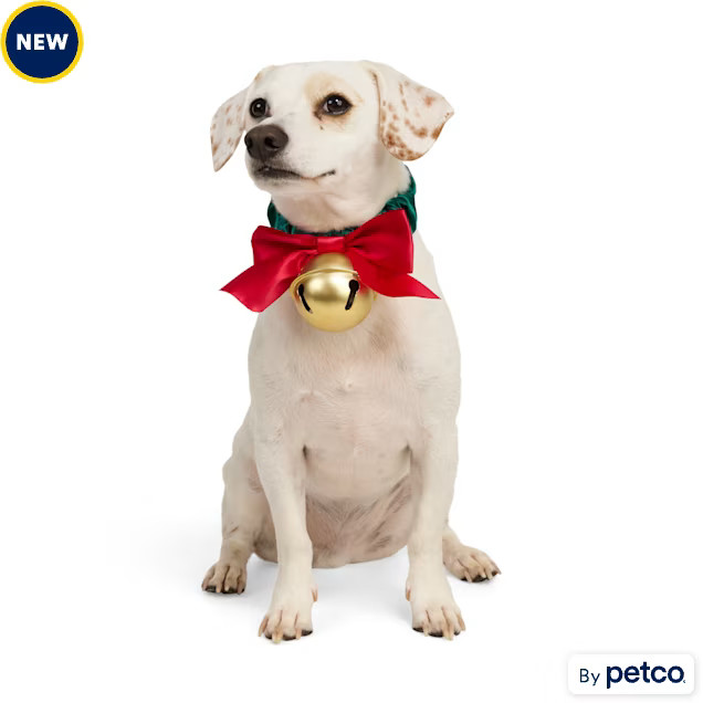 Merry Makings Green Bell Scrunch Costume Dog Collar, Small/Medium | Petco