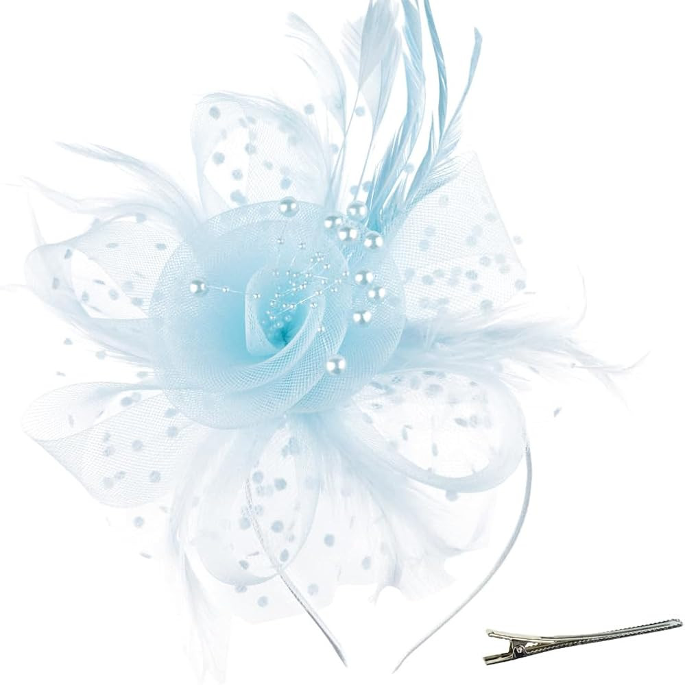 DRESHOW Fascinators Hat Flower Mesh Ribbons Feathers on a Headband and a Clip Tea Party Headwear ... | Amazon (US)
