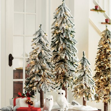 Pre-Lit Flocked Alpine Trees, Set of Three | Grandin Road