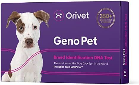 Orivet Genopet Dog DNA Test | Dog Breed Test Kit, Genetic Testing, Heritable Health Risks and Life P | Amazon (US)