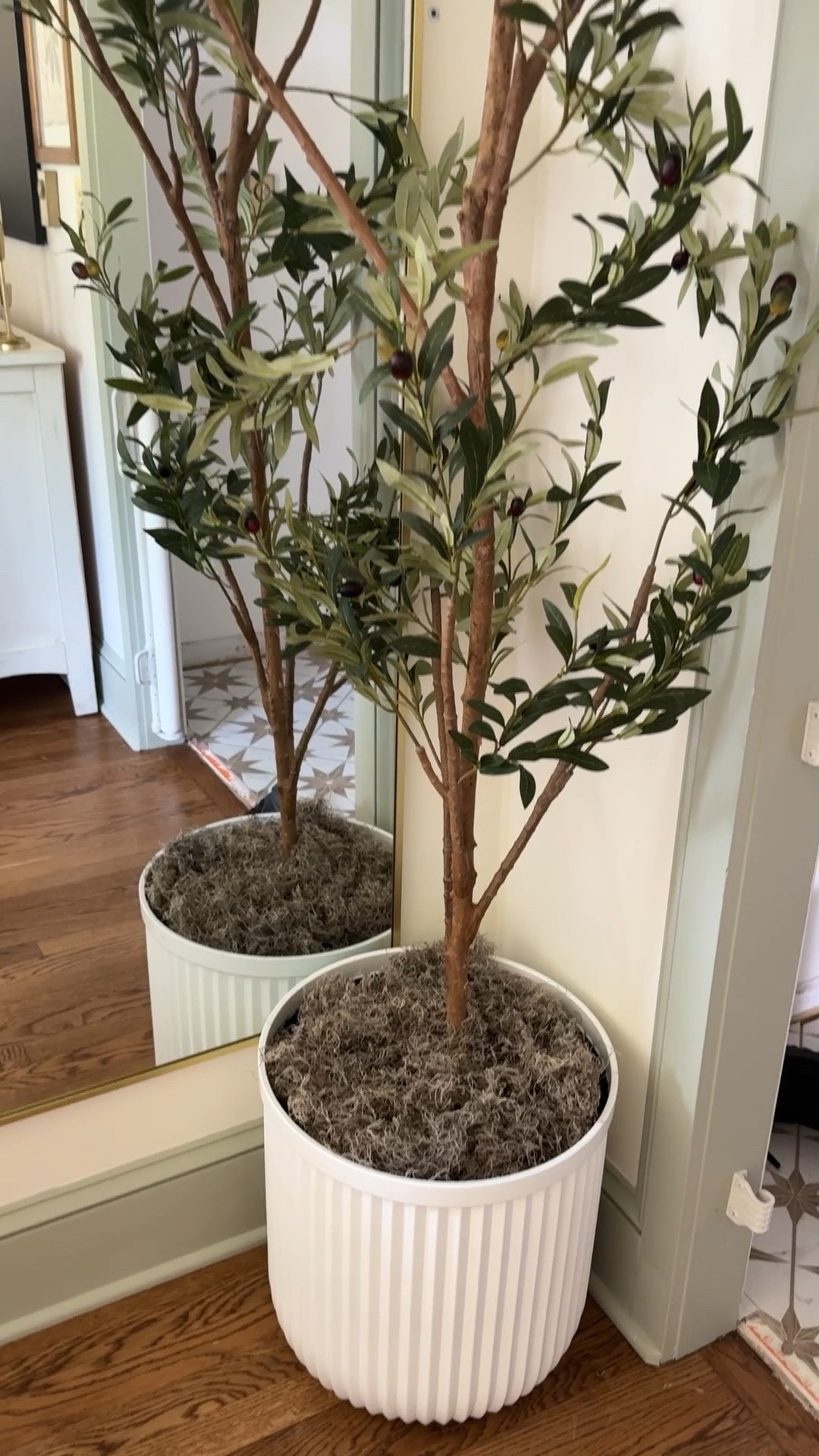 How to make a large planter look “full” with just a few simple things! I used the packing from the box it shipped in to “fill” the empty space then bought Spanish moss to put on top to hide the plastic!✨

#LTKHome #LTKStyleTip