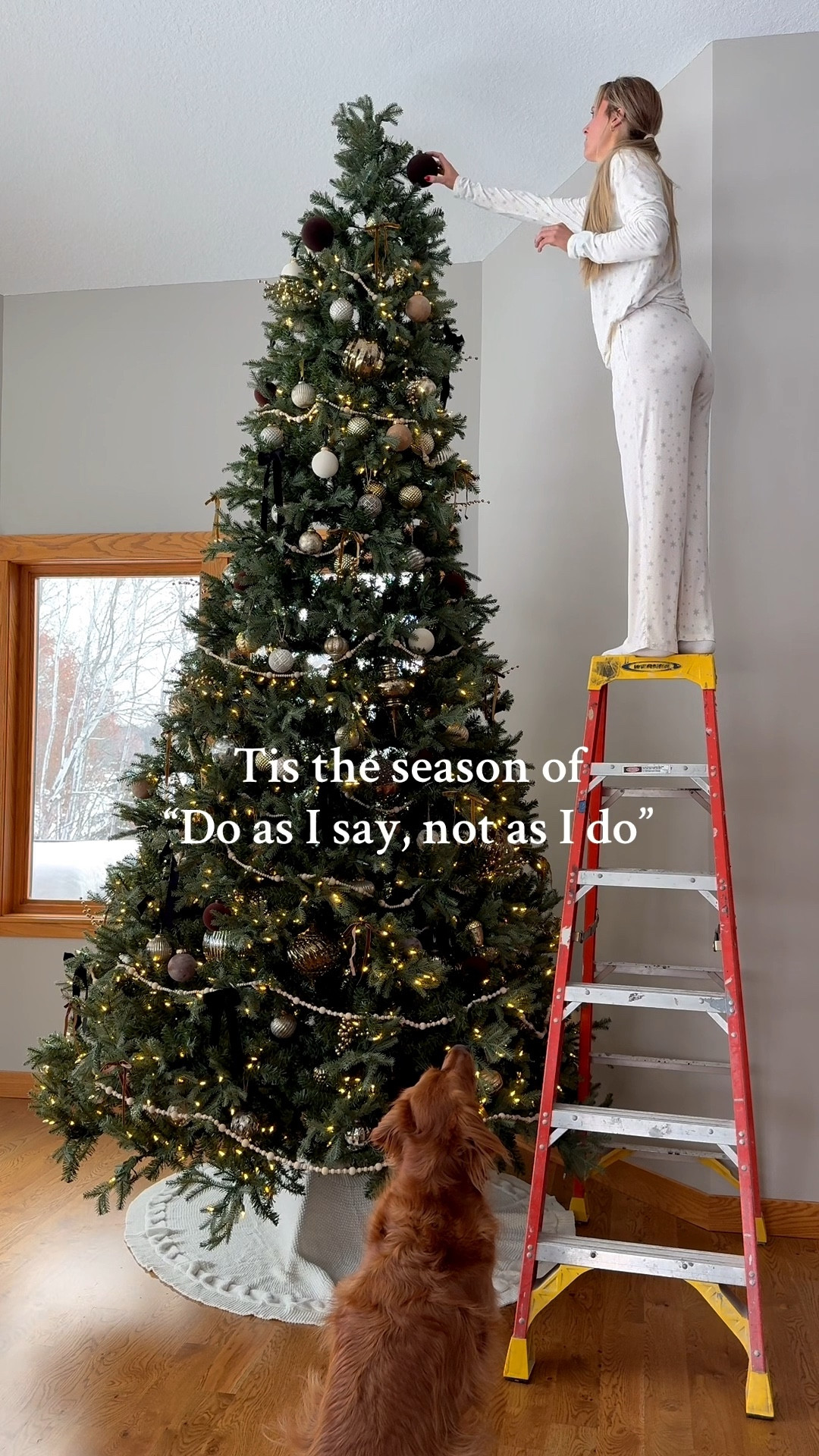 Tis the season of “Do as u say, not as I do"

#LTKHoliday #LTKHome #LTKSeasonal